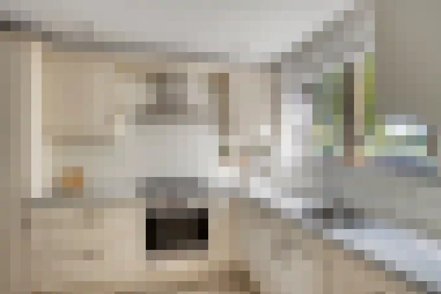 De Weer 5 Zaandam thumbnail 12