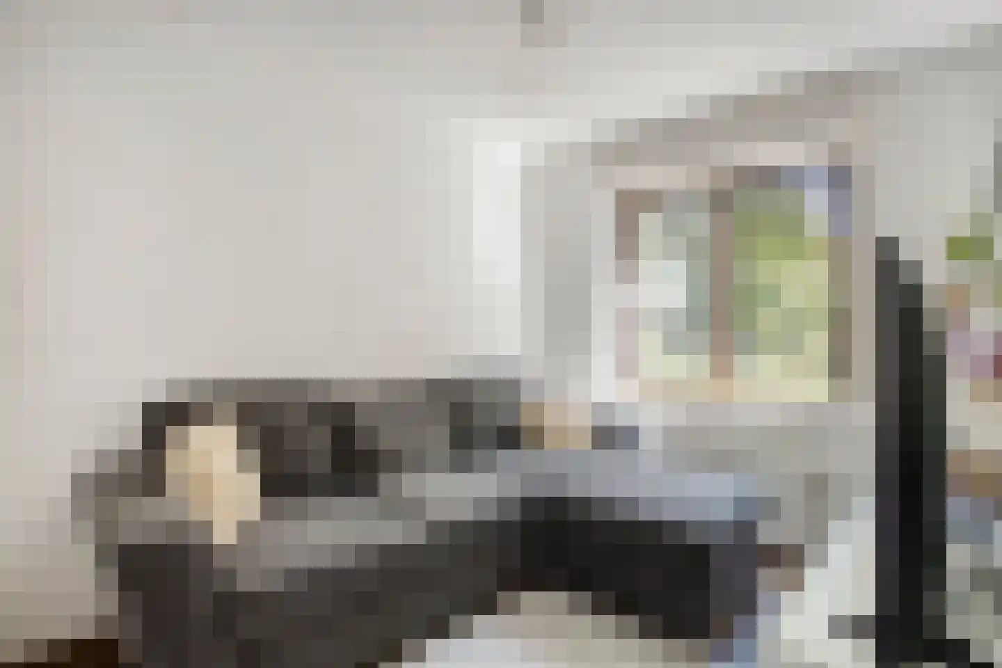 De Weer 5 Zaandam thumbnail 27