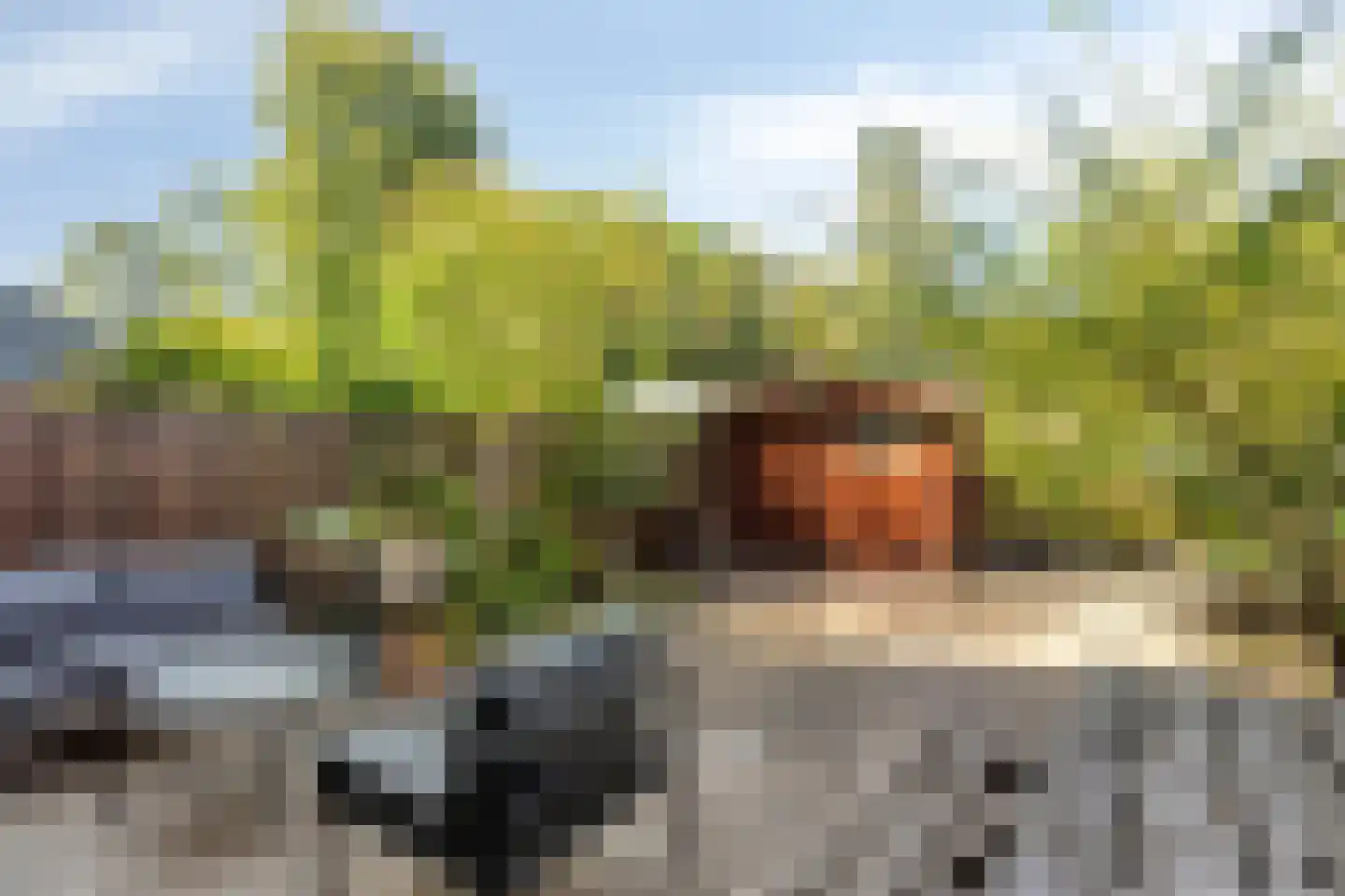 De Weer 5 Zaandam thumbnail 39