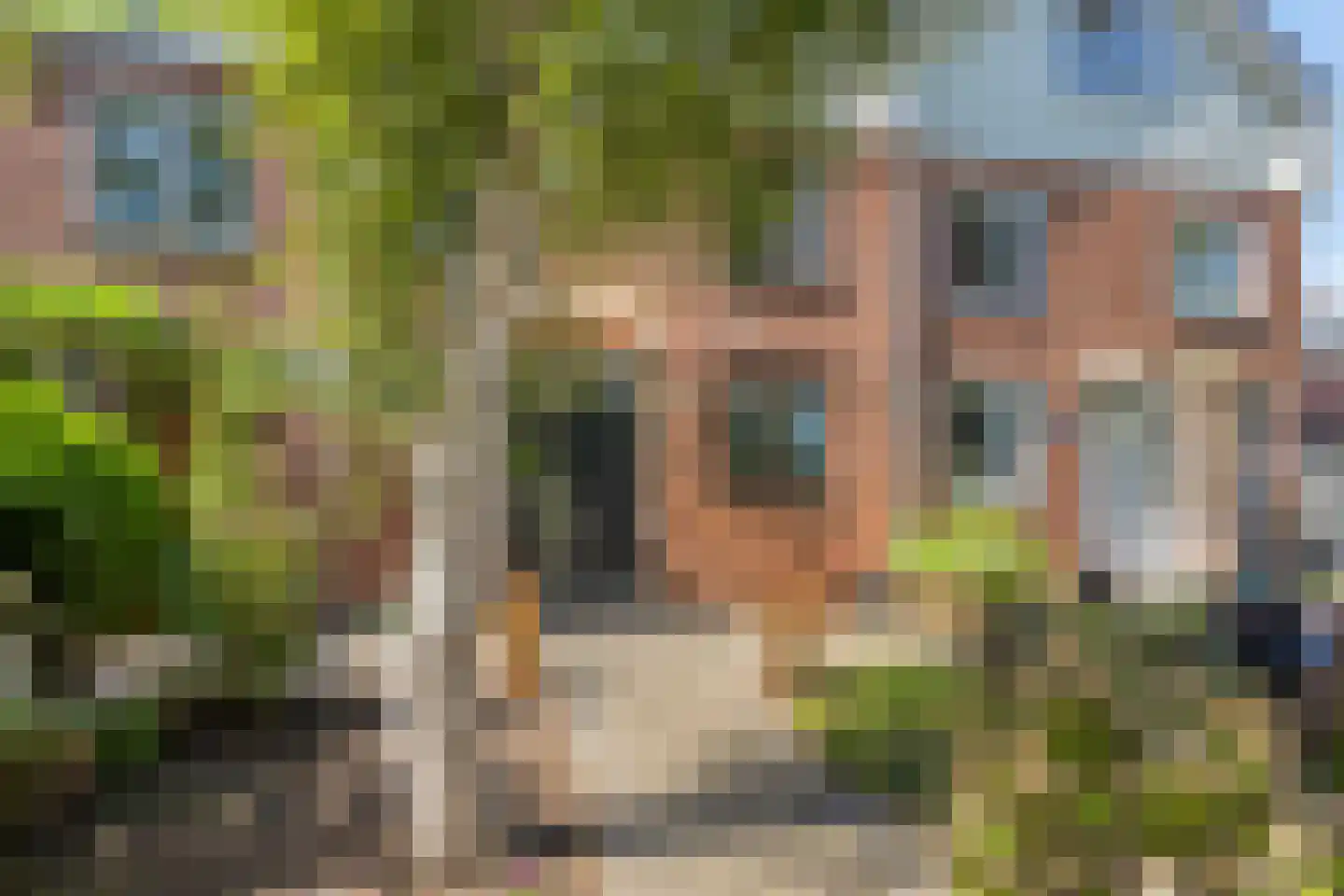De Weer 5 Zaandam thumbnail 4