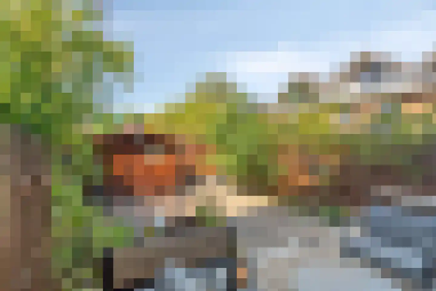 De Weer 5 Zaandam thumbnail 40