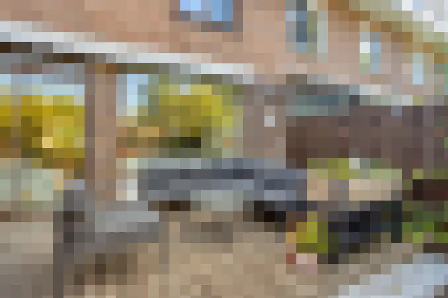 De Weer 5 Zaandam thumbnail 41