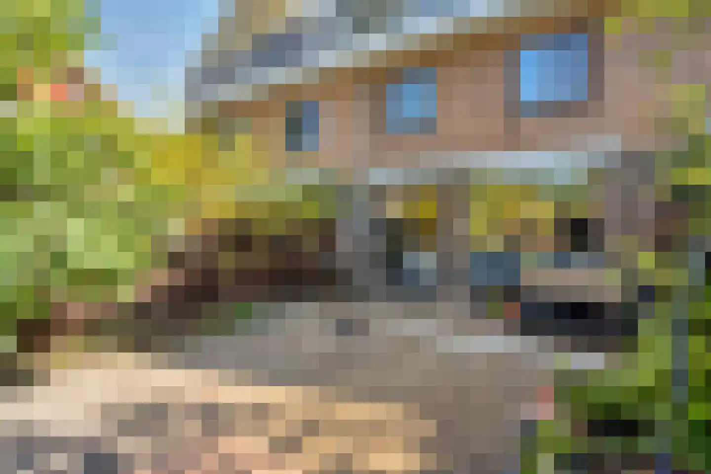 De Weer 5 Zaandam thumbnail 42