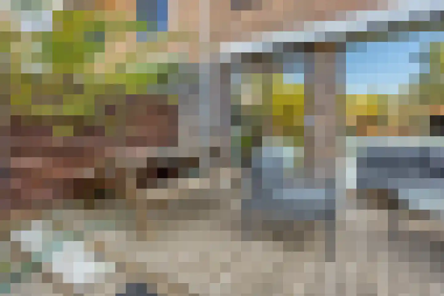 De Weer 5 Zaandam thumbnail 44