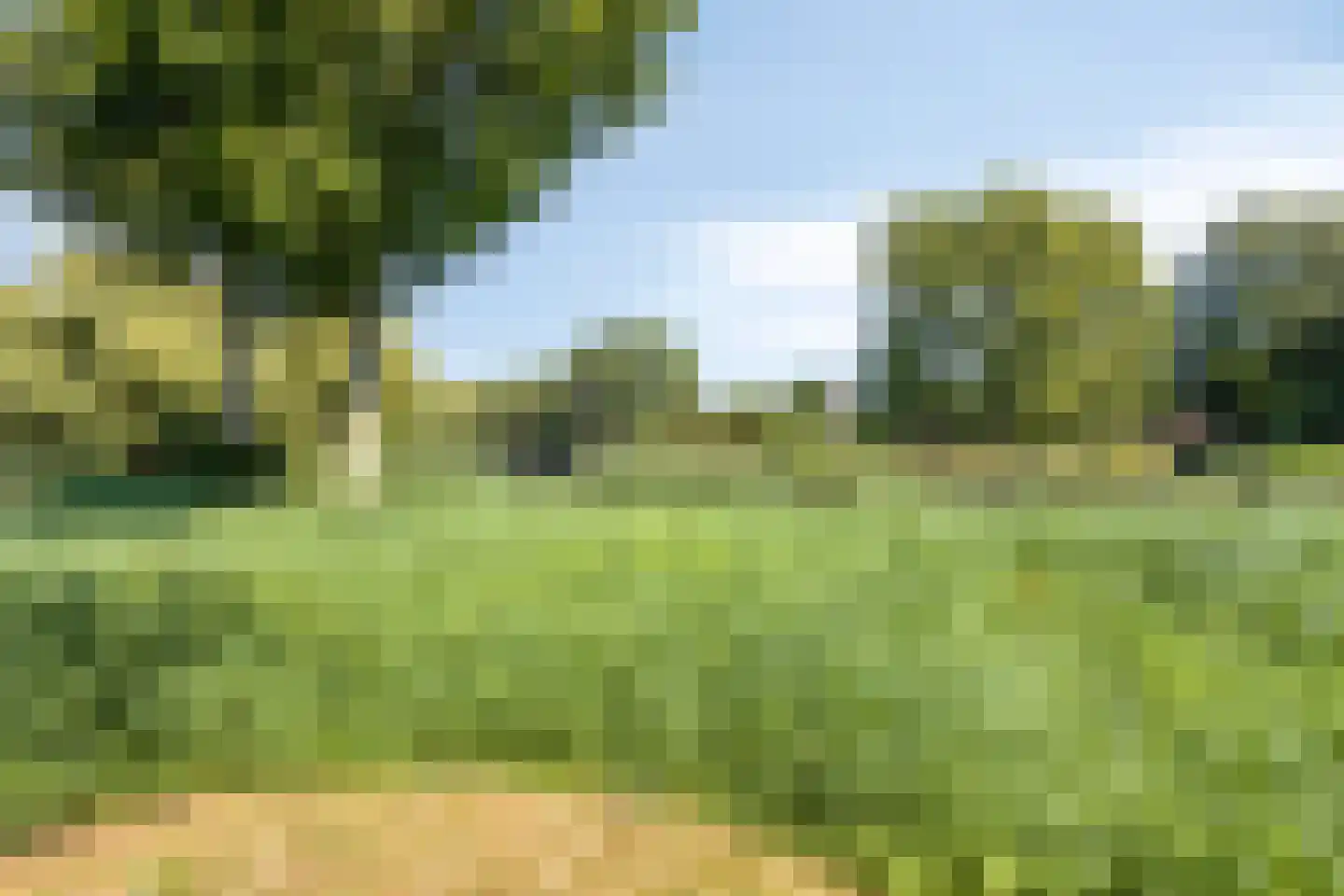 De Weer 5 Zaandam thumbnail 45