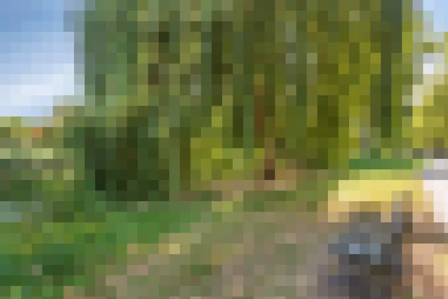 De Weer 5 Zaandam thumbnail 46