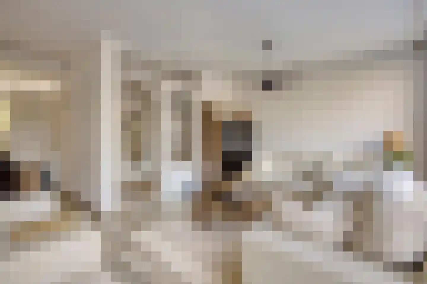 De Weer 5 Zaandam thumbnail 8