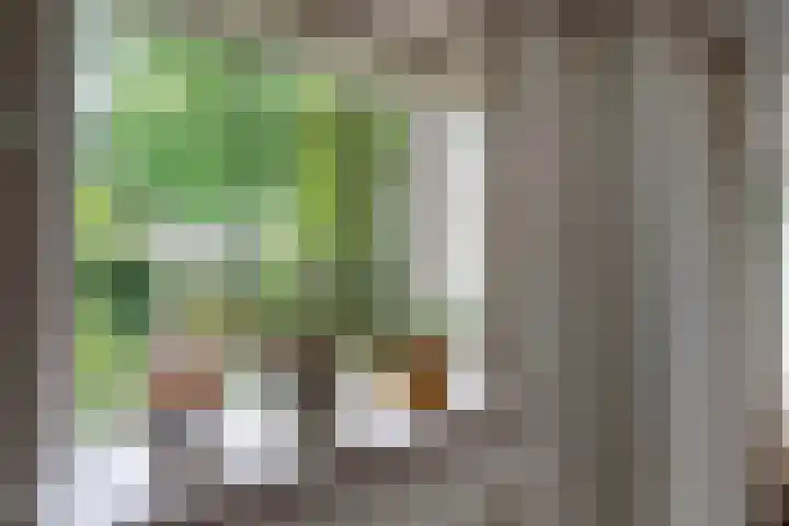 De Weer 57 Zaandam thumbnail 10