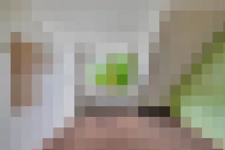 De Weer 57 Zaandam thumbnail 30