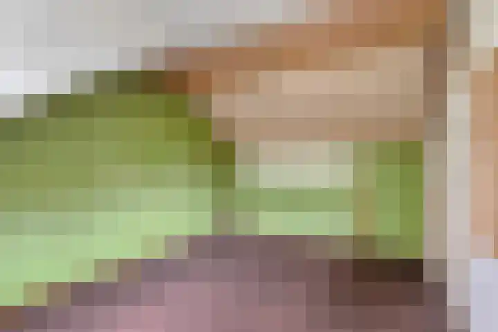 De Weer 57 Zaandam thumbnail 31