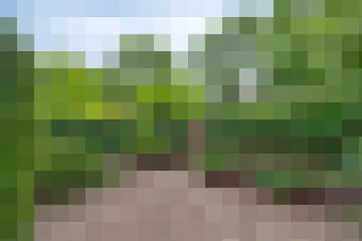 De Weer 57 Zaandam thumbnail 33