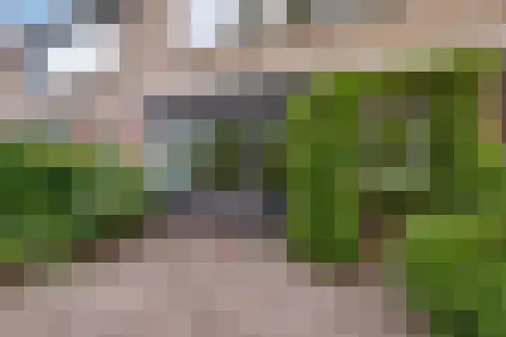 De Weer 57 Zaandam thumbnail 34