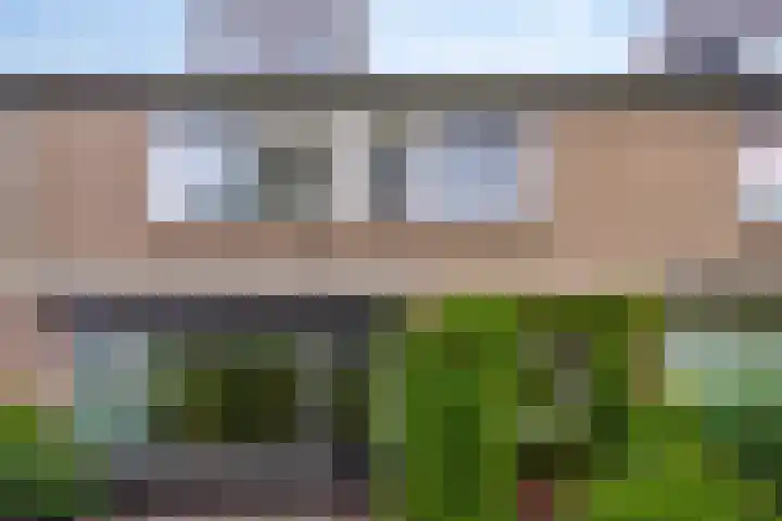 De Weer 57 Zaandam thumbnail 35