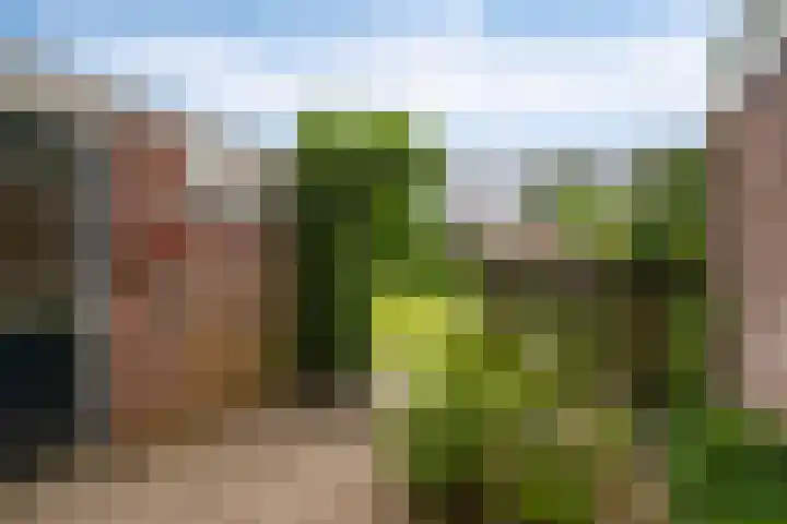 De Weer 57 Zaandam thumbnail 36