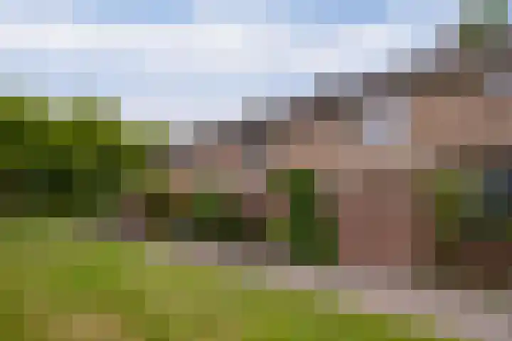De Weer 57 Zaandam thumbnail 39