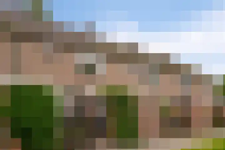 De Weer 57 Zaandam thumbnail 40
