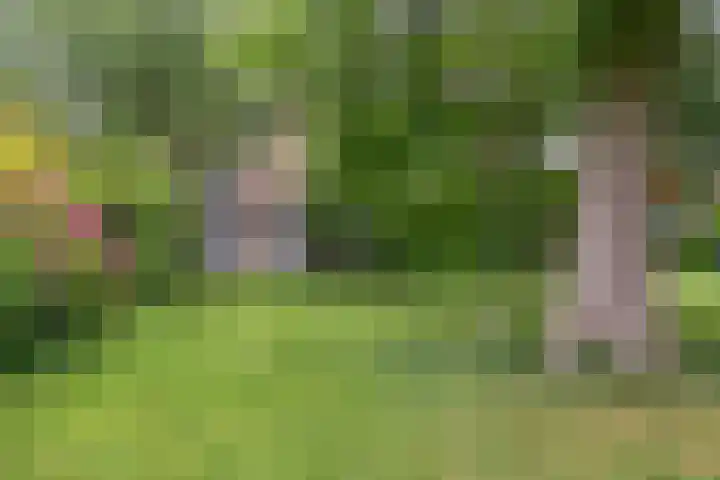 De Weer 57 Zaandam thumbnail 41