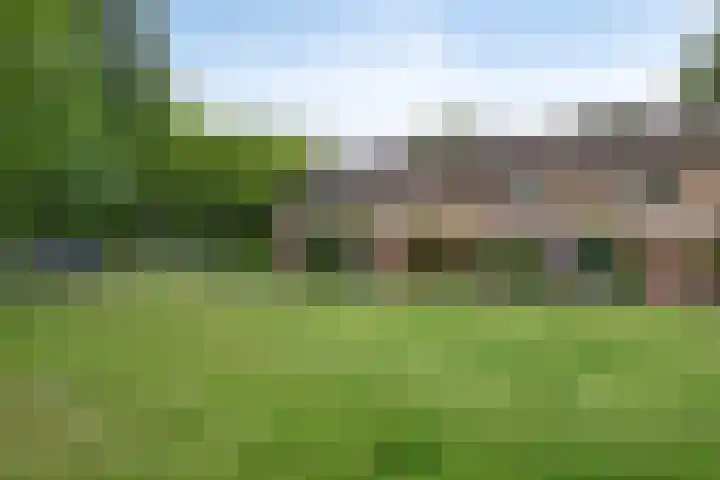 De Weer 57 Zaandam thumbnail 42