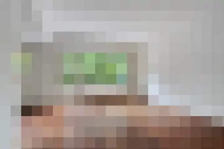 De Weer 57 Zaandam thumbnail 7