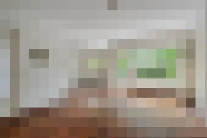 De Weer 57 Zaandam thumbnail 8