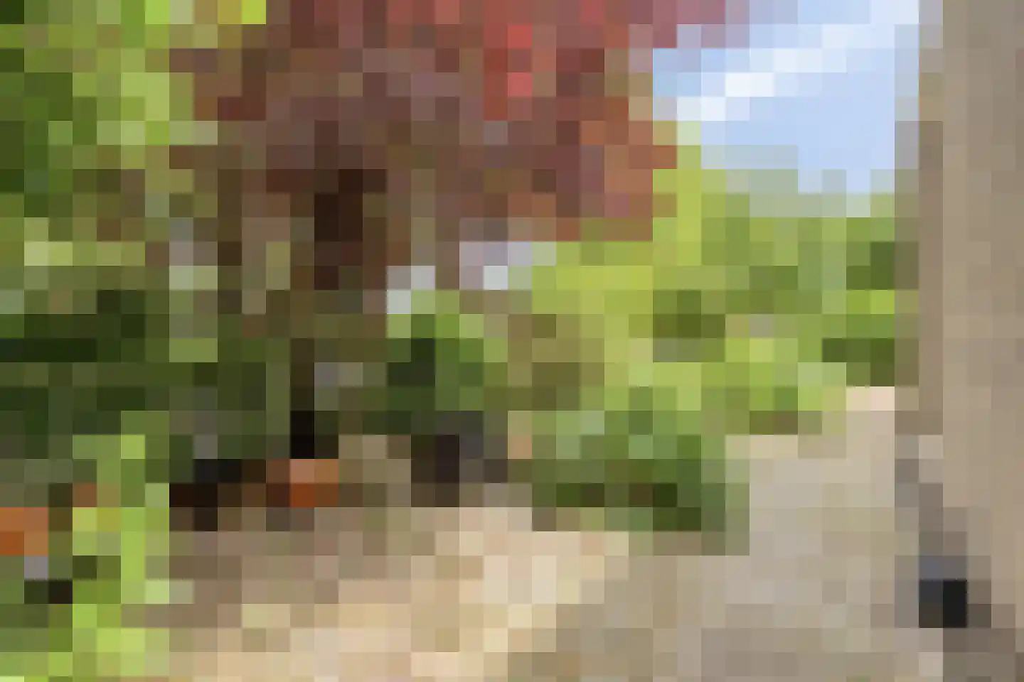 De Weer 6 B Zaandam thumbnail 33