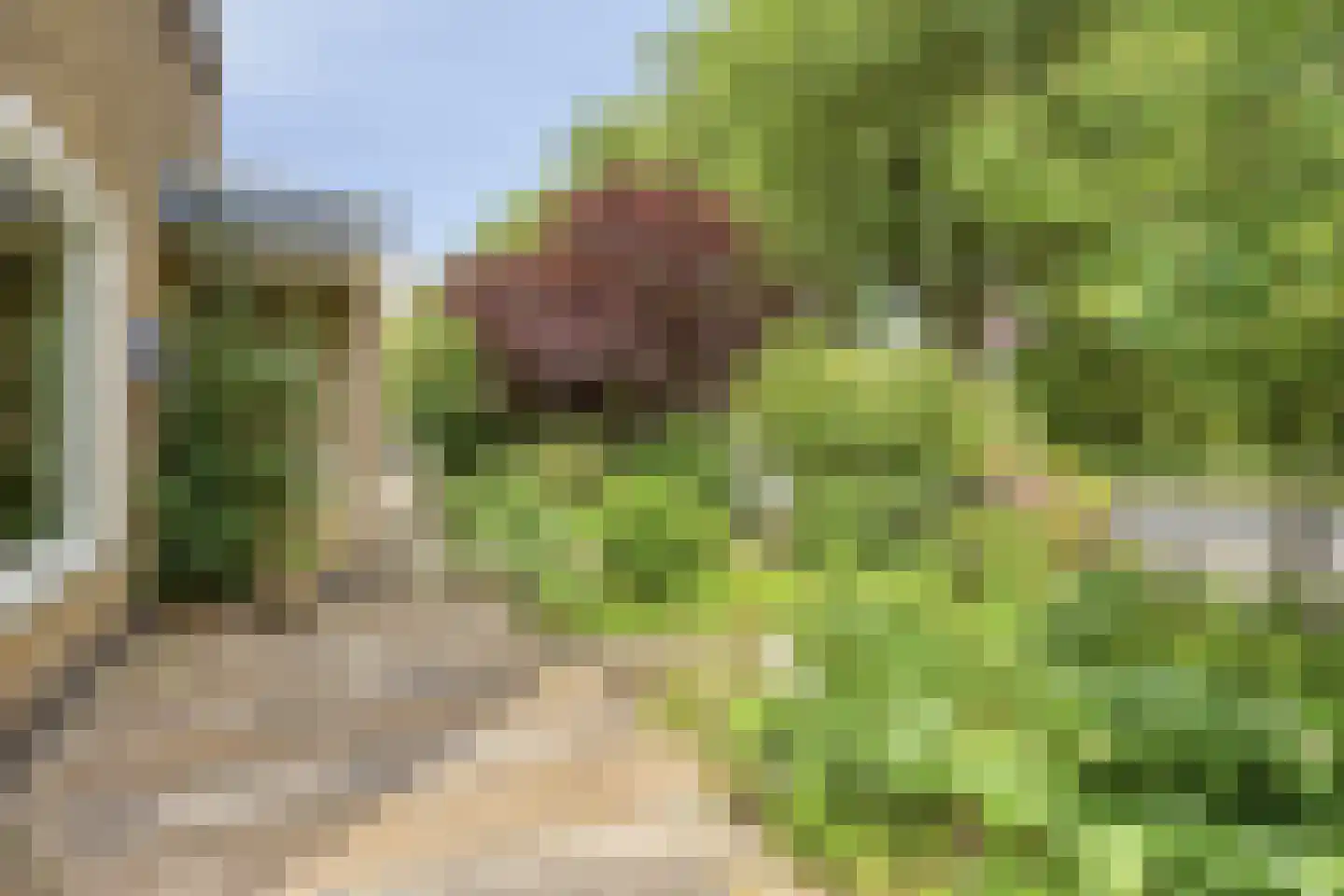 De Weer 6 B Zaandam thumbnail 34