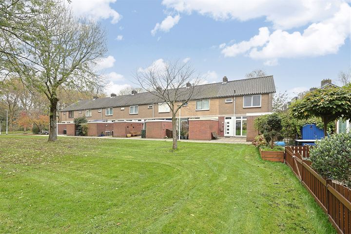 De Weer 67 in Zaandam foto