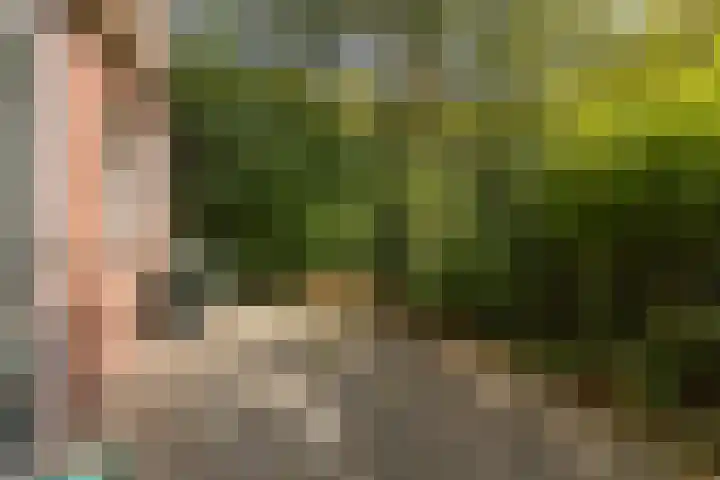 De Weer 68 Zaandam thumbnail 29