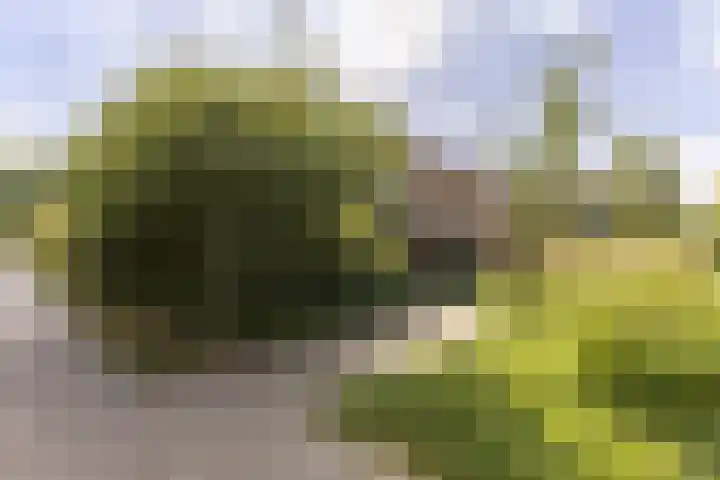 De Weer 68 Zaandam thumbnail 30
