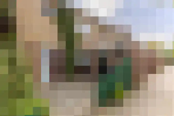 De Weer 68 Zaandam thumbnail 31