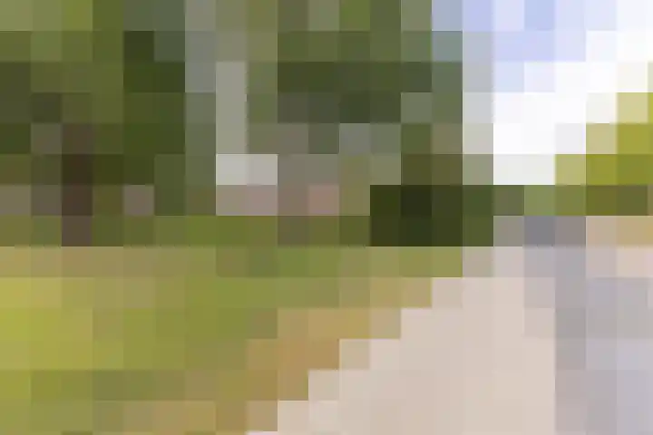 De Weer 68 Zaandam thumbnail 36