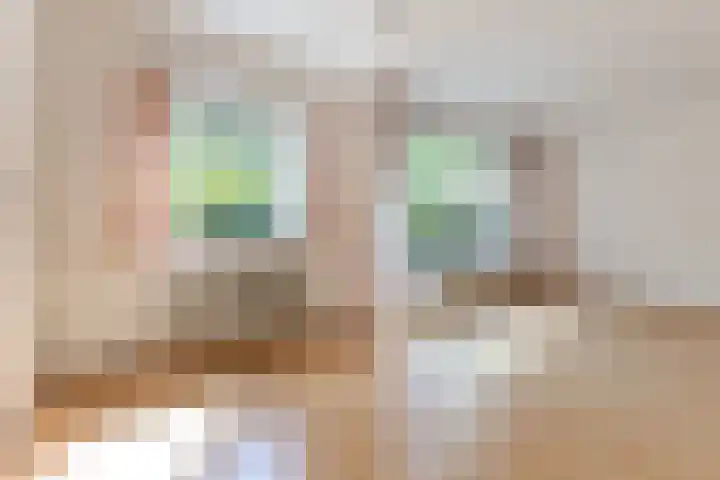 De Weer 68 Zaandam thumbnail 4