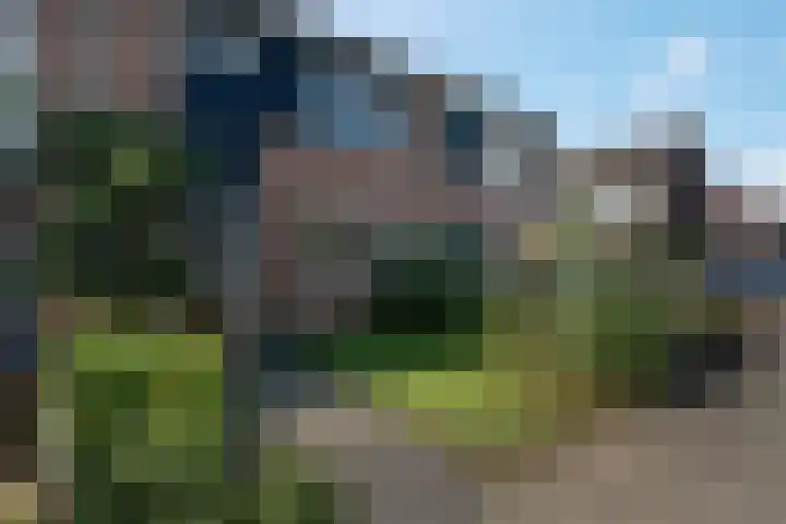 De Weerd 16 Hasselt foto 2