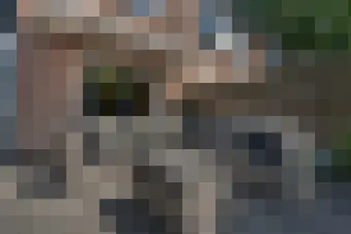 De Weerd 16 Hasselt thumbnail 39