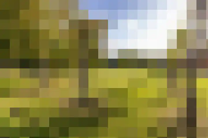 De Weerd 16 Hasselt thumbnail 42