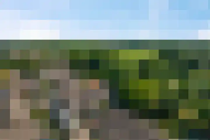 De Weerd 16 Hasselt thumbnail 43