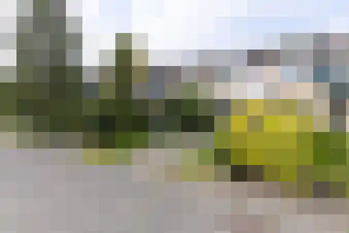 De Weerd 16 Hasselt thumbnail 44