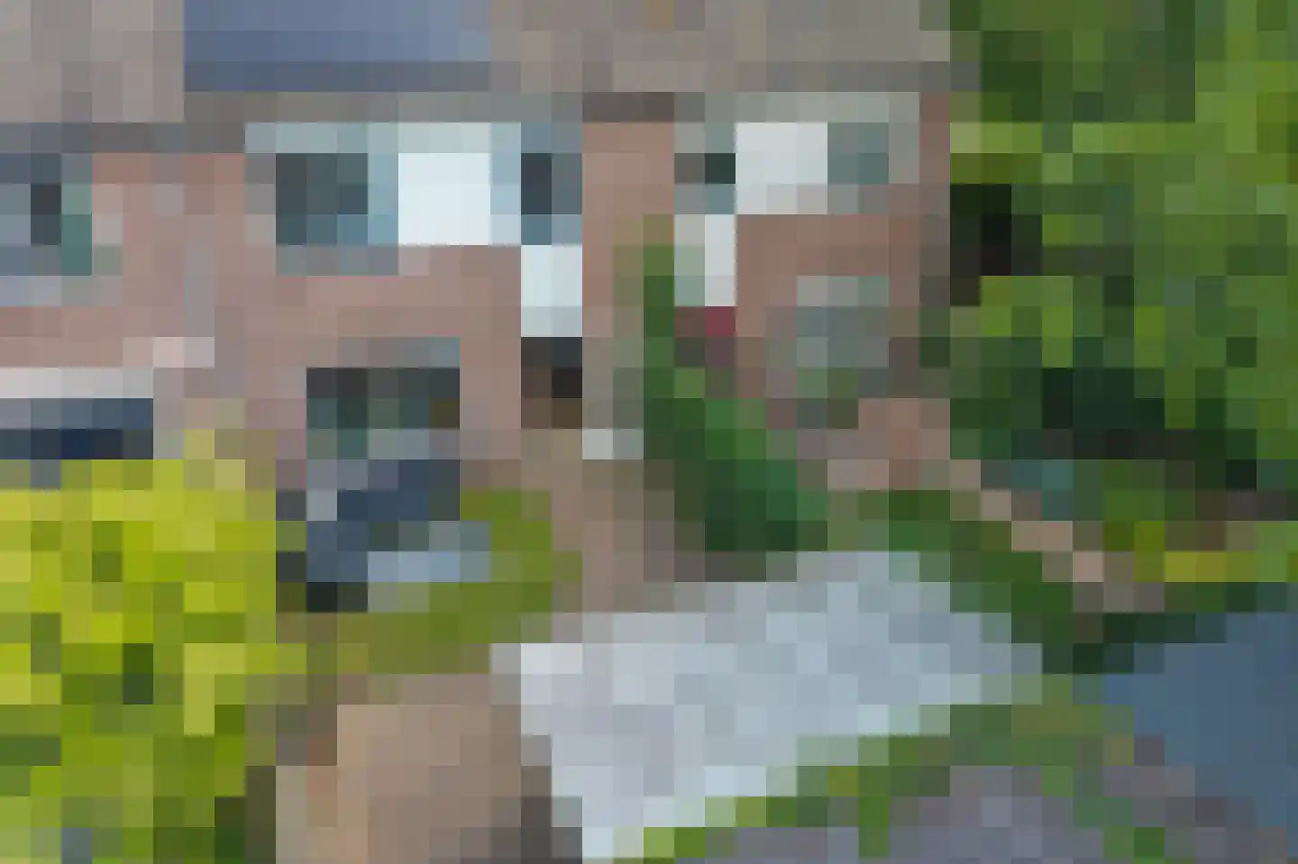 De Weerd 18 Hasselt thumbnail 27