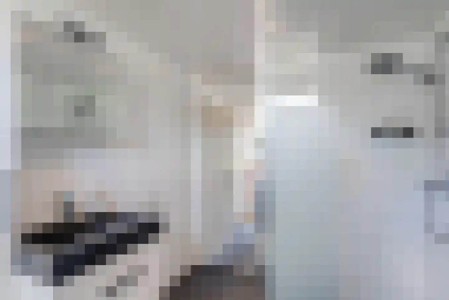 De Weerd 18 Hasselt thumbnail 31