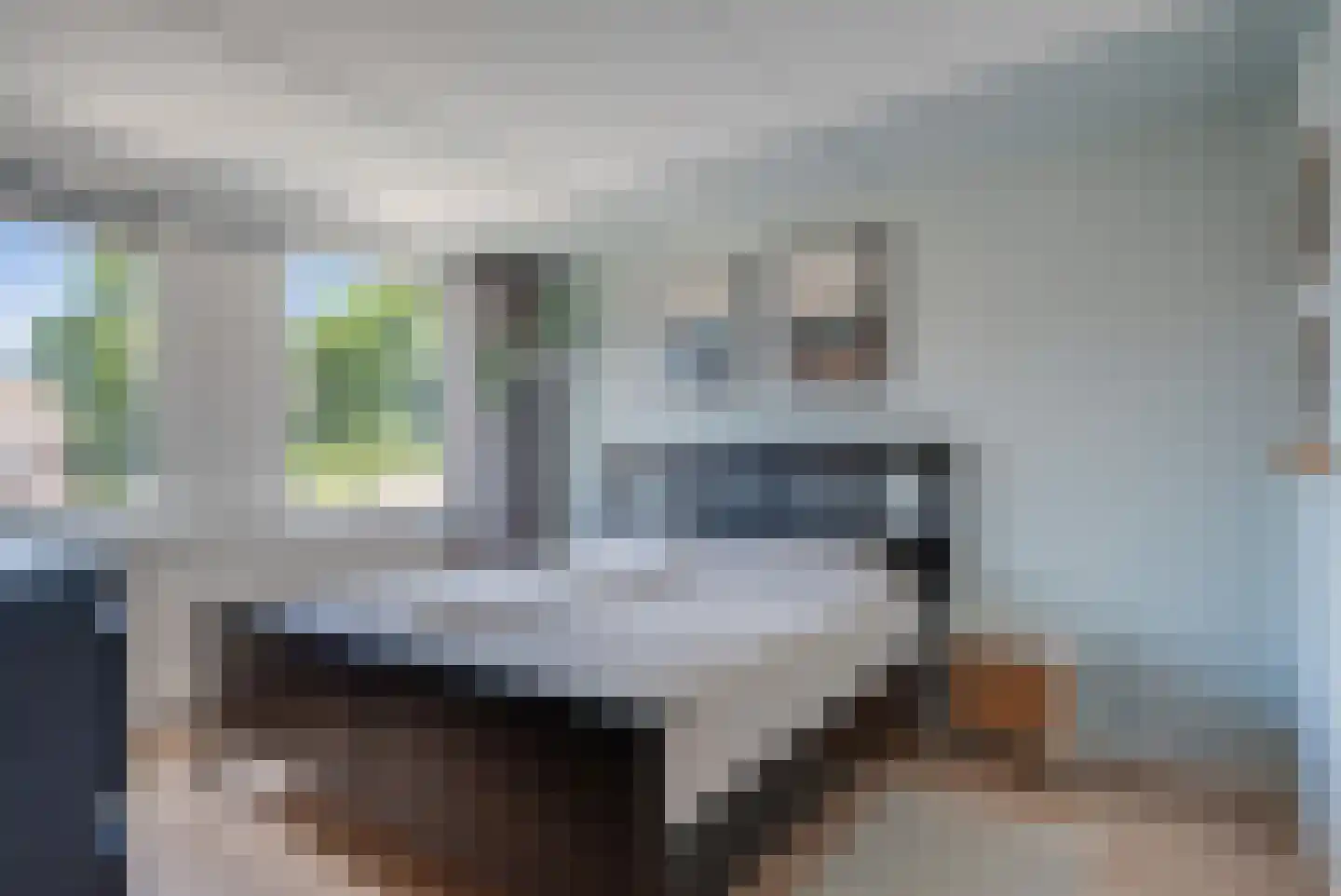 De Weerd 18 Hasselt thumbnail 32