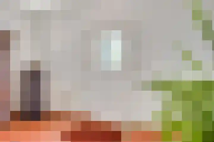De Weerd 9 Roermond thumbnail 10