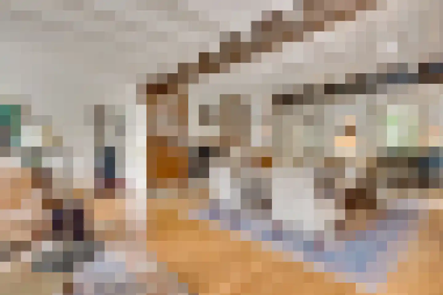 De Weerd 9 Roermond thumbnail 11