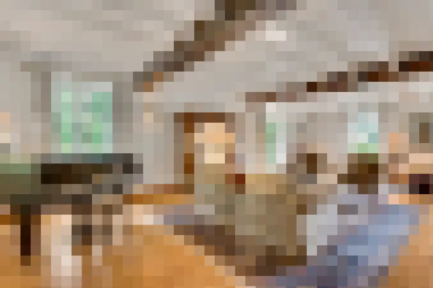 De Weerd 9 Roermond thumbnail 14