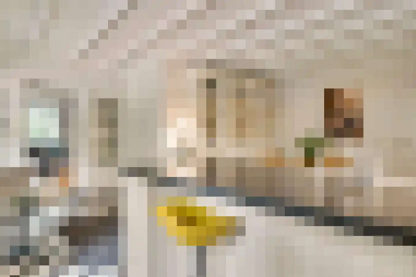 De Weerd 9 Roermond thumbnail 18