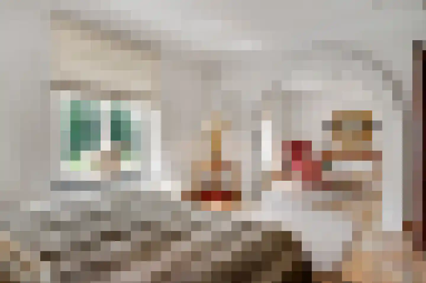 De Weerd 9 Roermond thumbnail 30