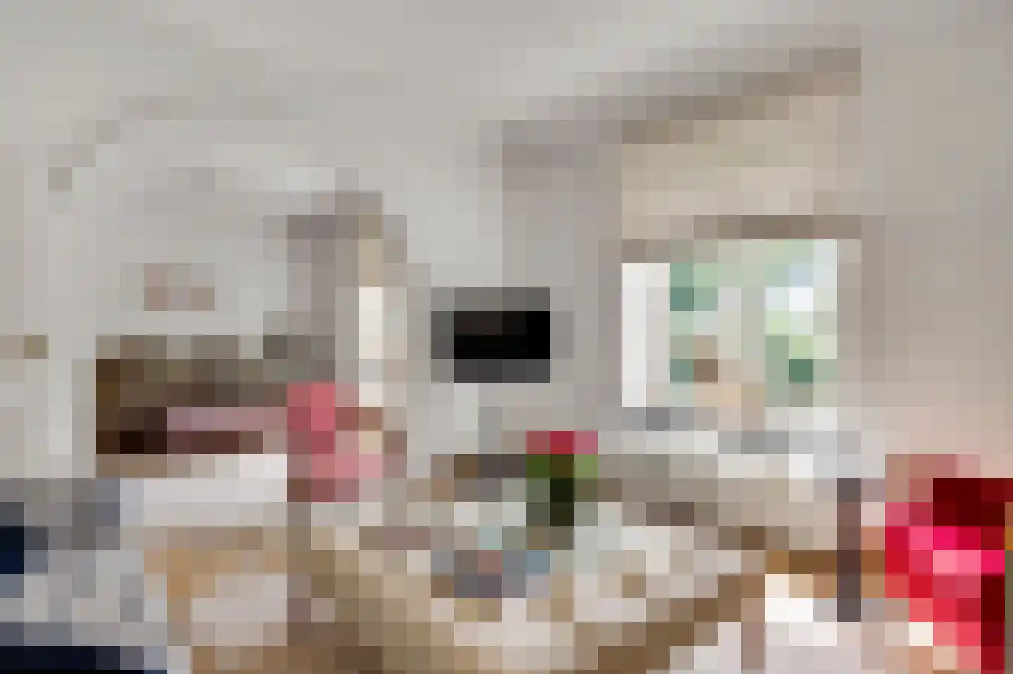 De Weerd 9 Roermond thumbnail 32