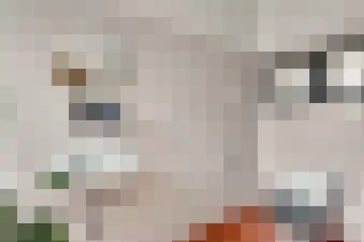 De Weerd 9 Roermond thumbnail 37
