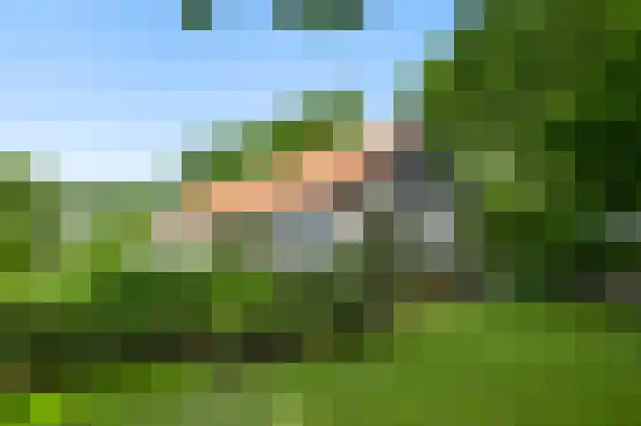 De Weerd 9 Roermond thumbnail 38