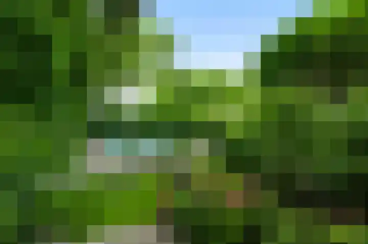 De Weerd 9 Roermond thumbnail 39