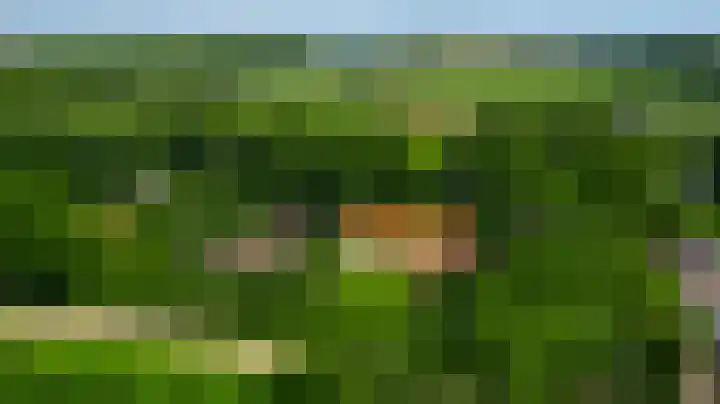 De Weerd 9 Roermond thumbnail 4